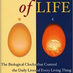 41AKdEsi45L._SX328_BO1,204,203,200_