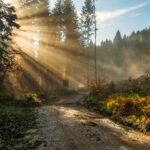 How to Select a Light Box