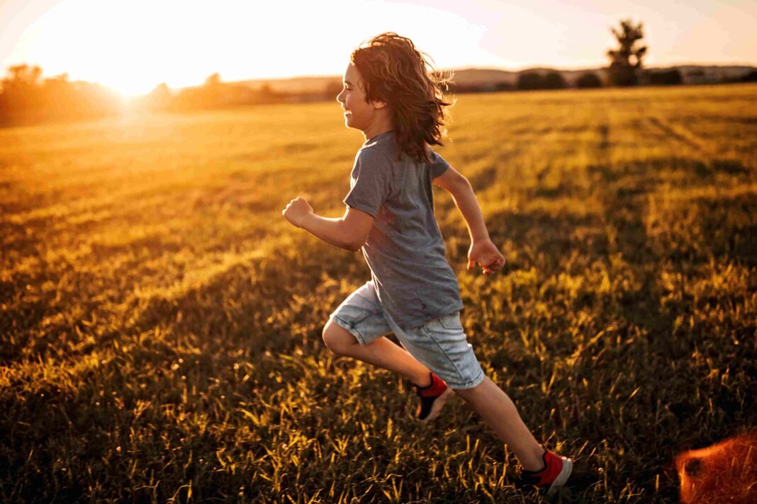 The Hidden Clocks That Power Our Body’s Defenses